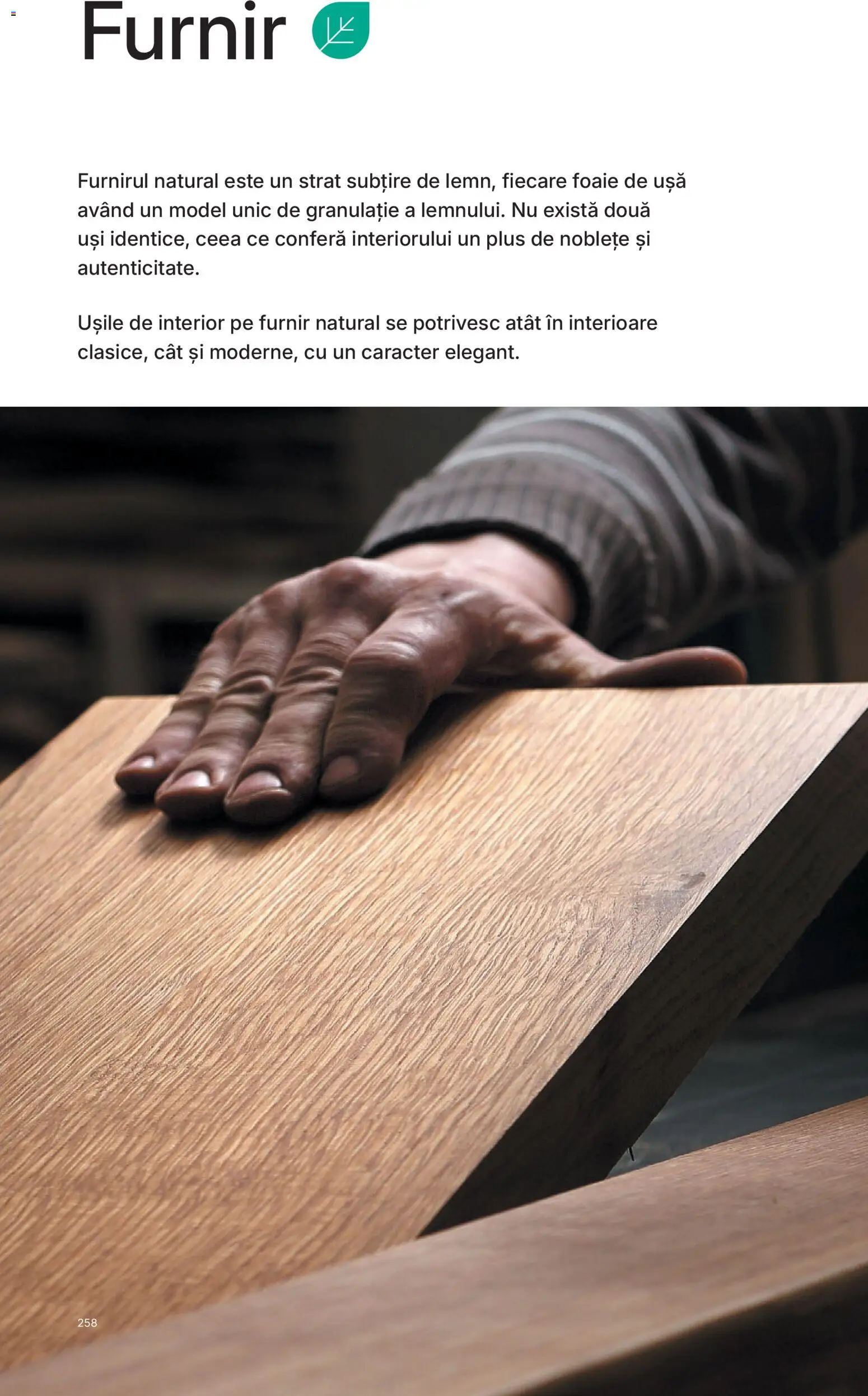 Noul catalog Proges – valabil de la 13.02.2026 | Pagină: 261 | Produse: Ușă