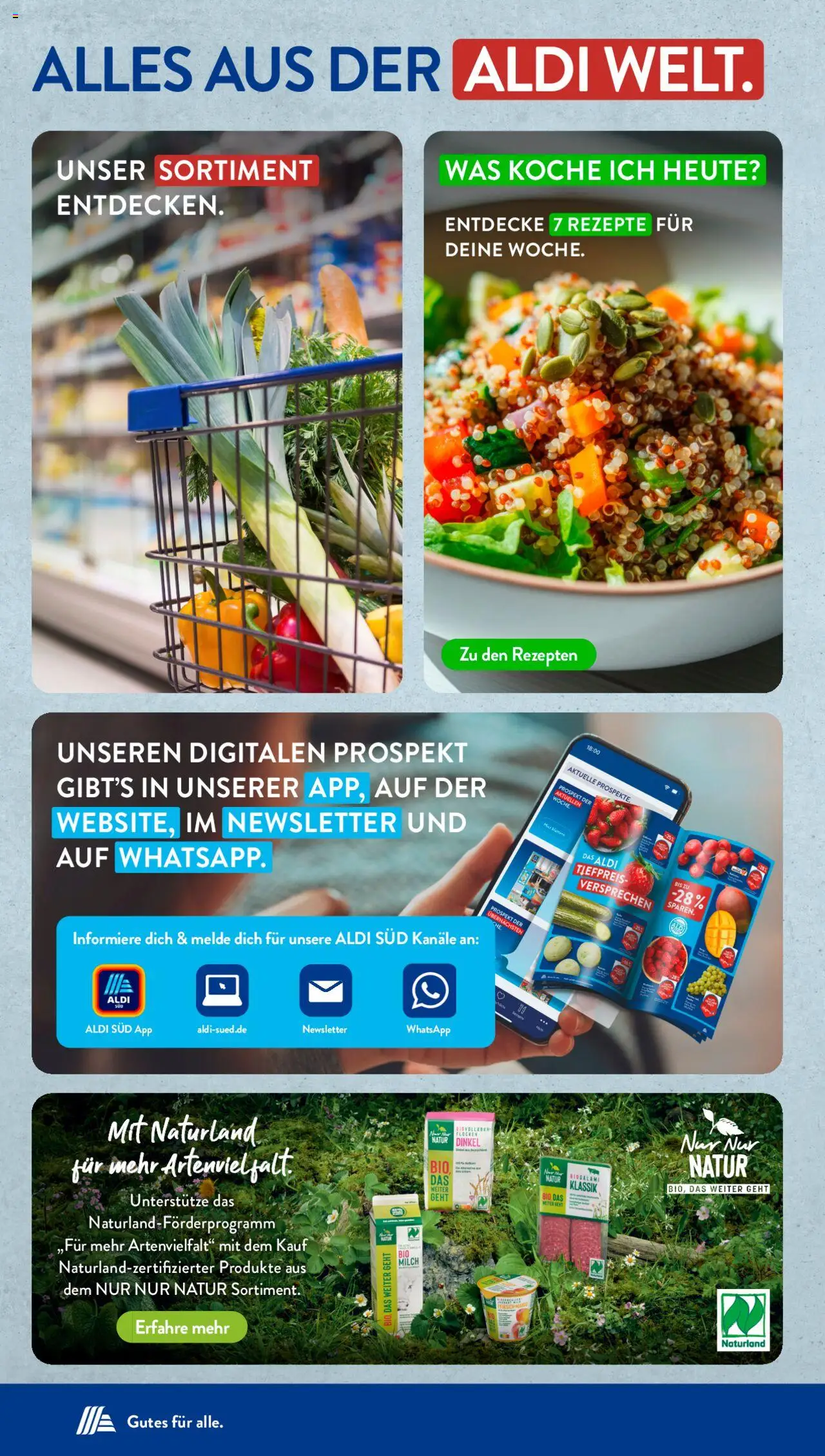Aldi Süd Prospekt 	 - gültig ab dem 08.09.2025 | Seite: 34 | Produkte: Pfirsich, Flocken