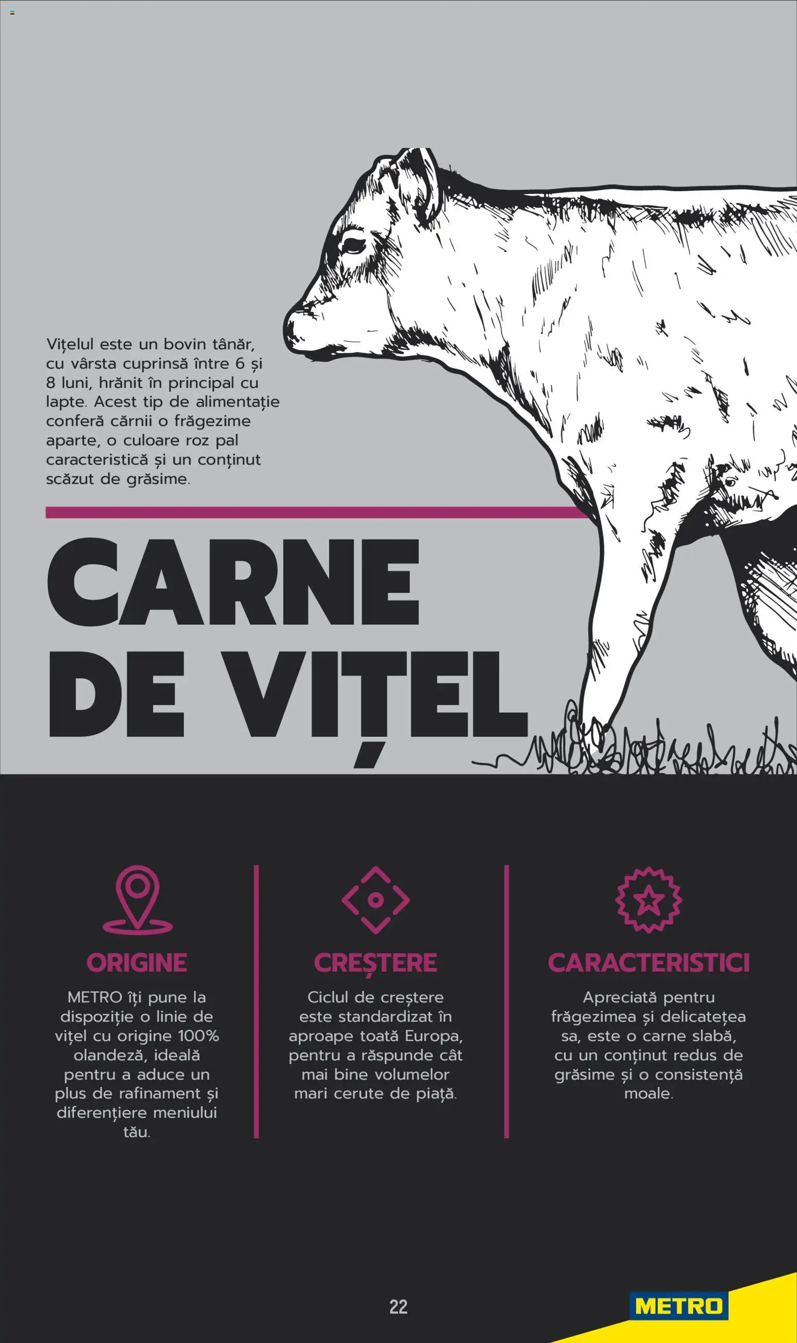 Noul catalog Metro – valabil de la 03.06.2025 | Pagină: 22