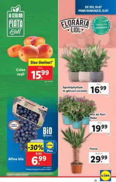 Catalog Lidl – valabil de la 07.07.2025 | Pagină: 31