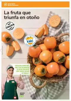 Vista previa Consum folleto válido desde el 23.10.2025 | Página: 18 | Productos: Μπιμπερό, Helado