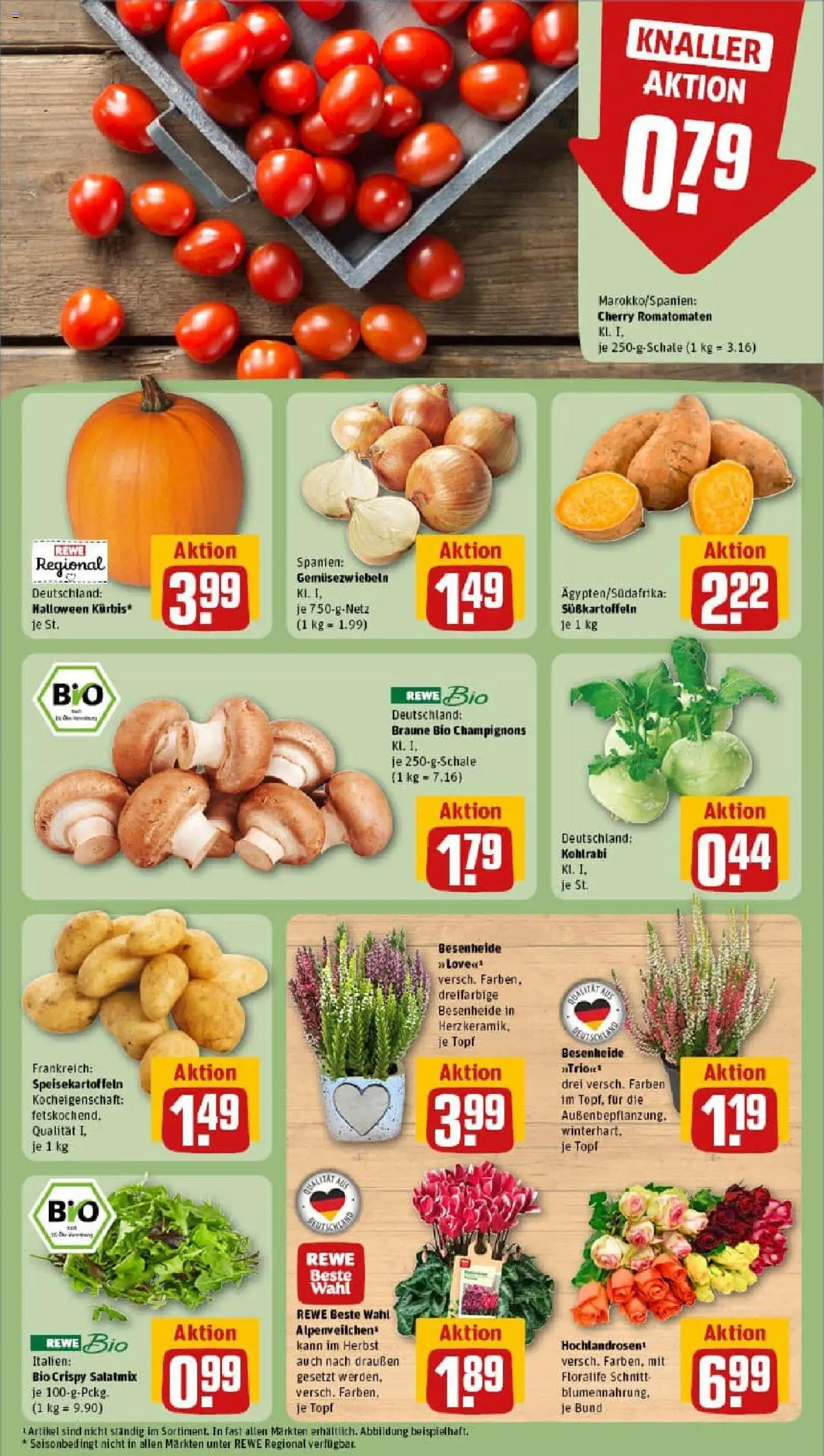 Rewe prospekt Wetzlar / Niedergirmes	 – gültig ab 13.10.2025 | Seite: 7 | Produkte: Kohlrabi, Champignons