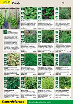 Landi ( Deaktivovane pre Letakomat )  Aktionen ab 07.01.2026 gültig | Seite: 18