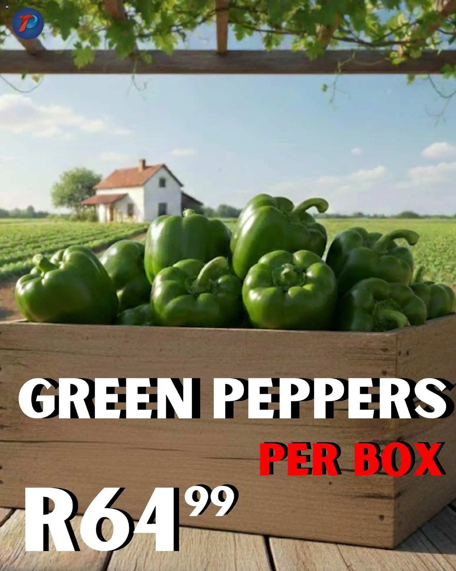 New Take n Pay catalogue – valid from 17.02.2026 | Page: 18 | Products: Box