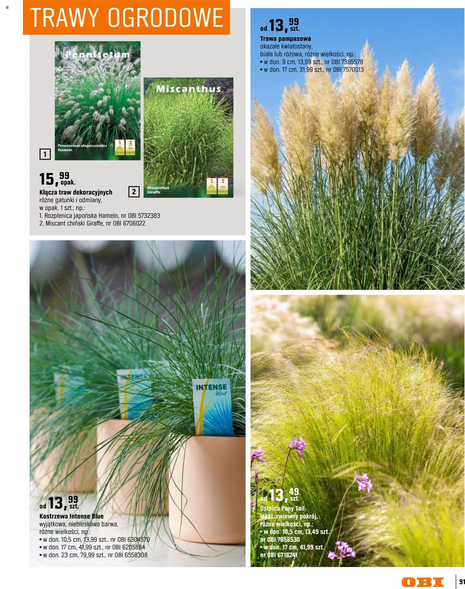 OBI gazetka - Ogród od 11.03.2026 | Strona: 91 | Produkty: Trawy, Trawa pampasowa