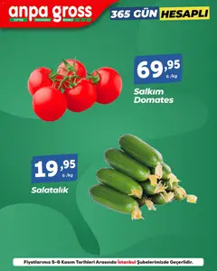 05.11.2025 tarihinden itibaren geçerli olan Anpa Gross kataloğu önizlemesi
