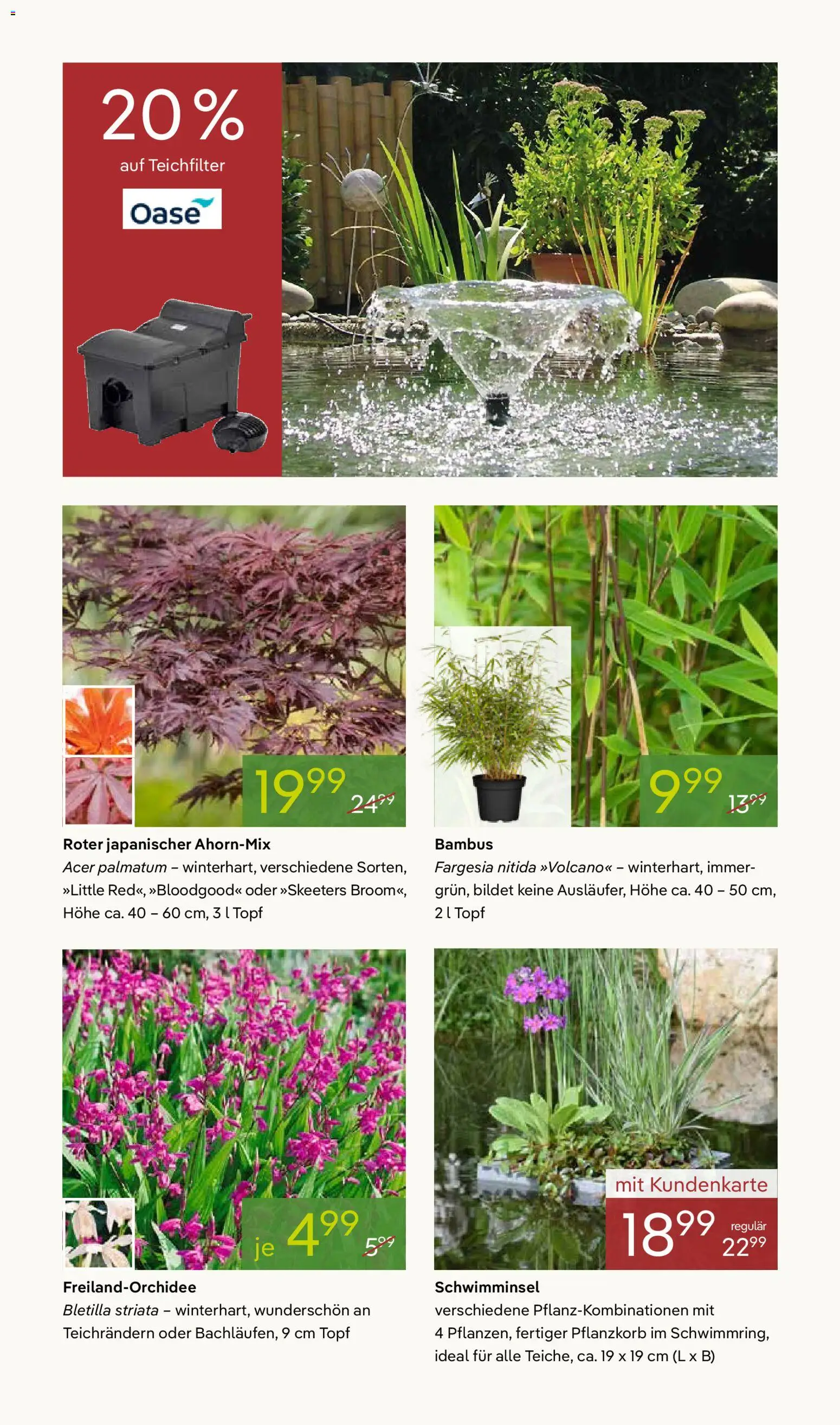 Pflanzen-Kölle Prospekt 	 – gültig ab 07.04.2026 | Seite: 10