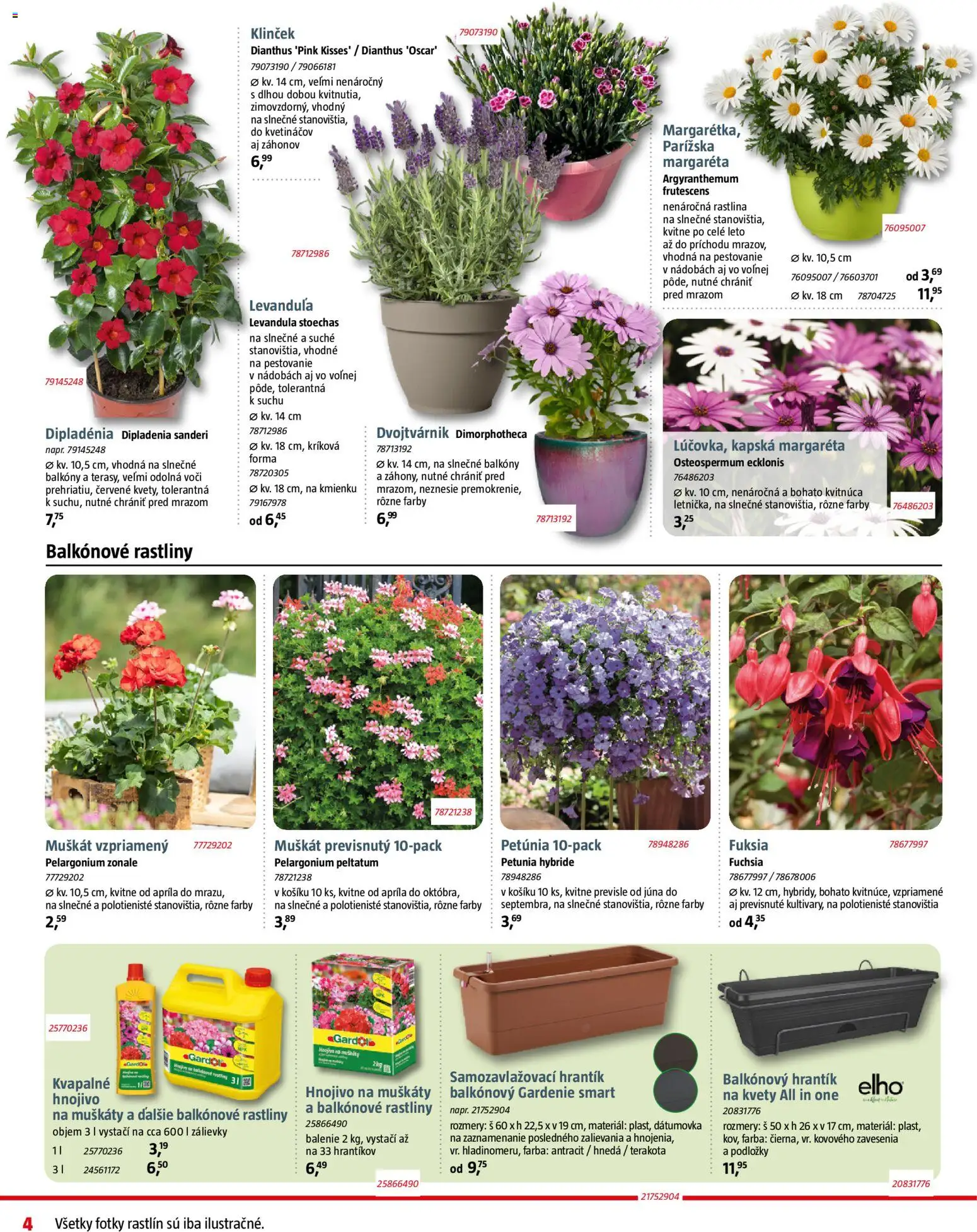 Nové Bauhaus akcie – leták je platný od 07.04.2026 | Strana: 4 | Produkty: Kvety