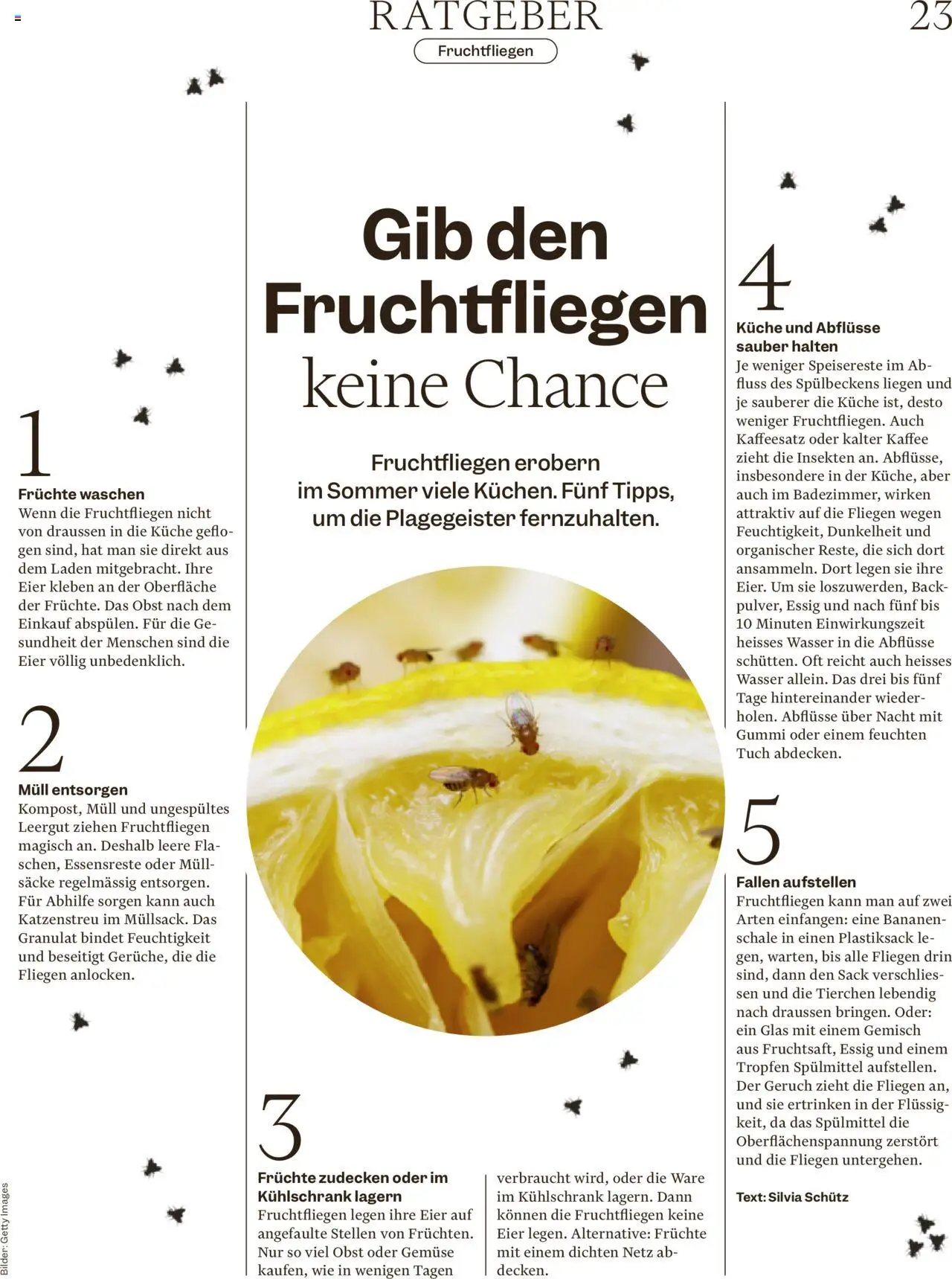 Migros - Magazin ab 18.08.2025 | Seite: 23 | Produkte: Essig, Eier, Kaffee, Kühlschrank