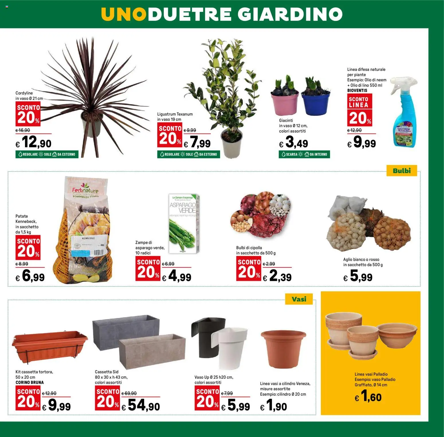 Volantino Iper del 12.02.2026 | Pagina: 47 | Prodotti: Patate, Olio, Aglio, Vaso