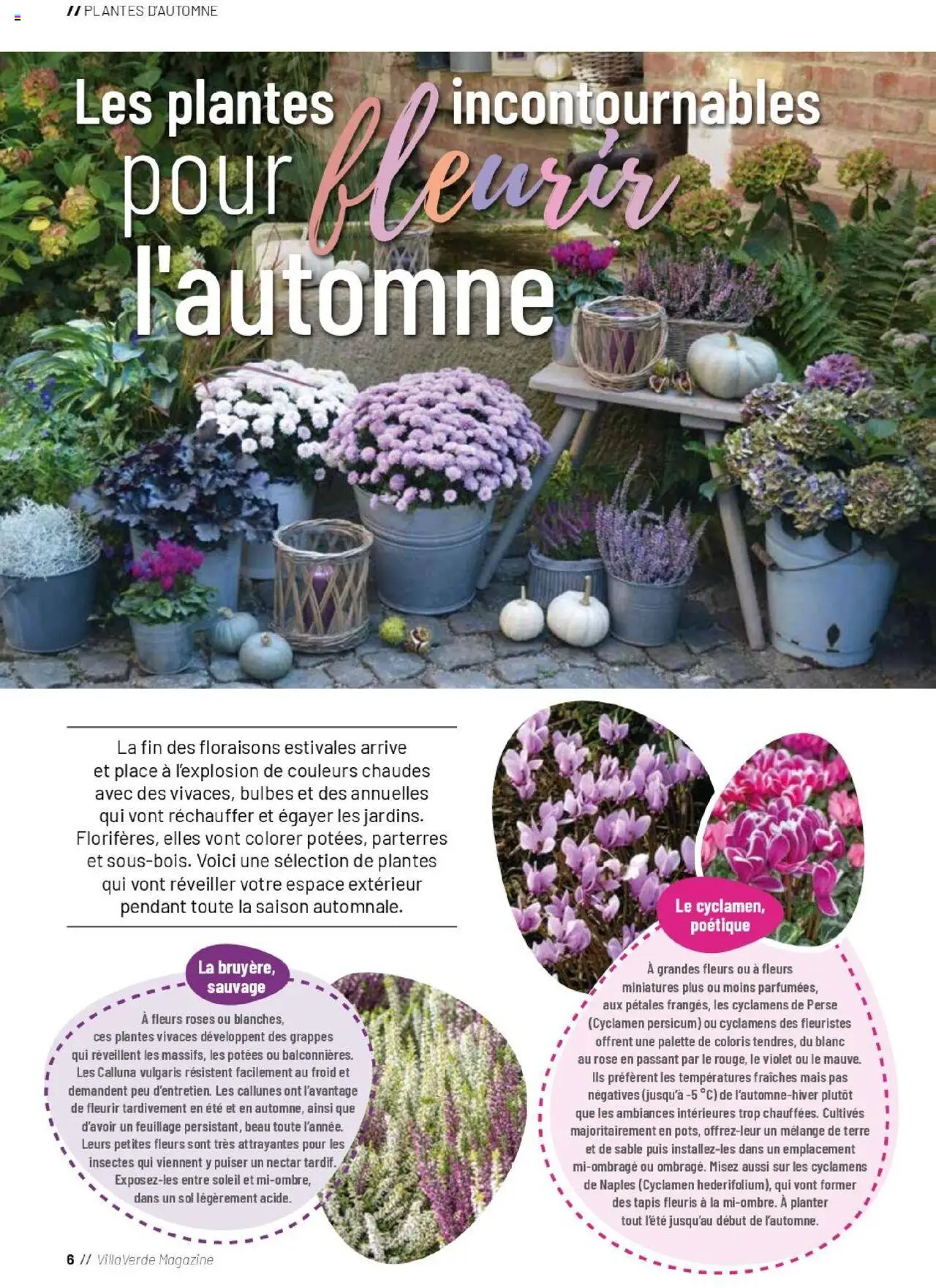  | Page: 6 | Produits: Plantes, Mais, Tapis, Magazine