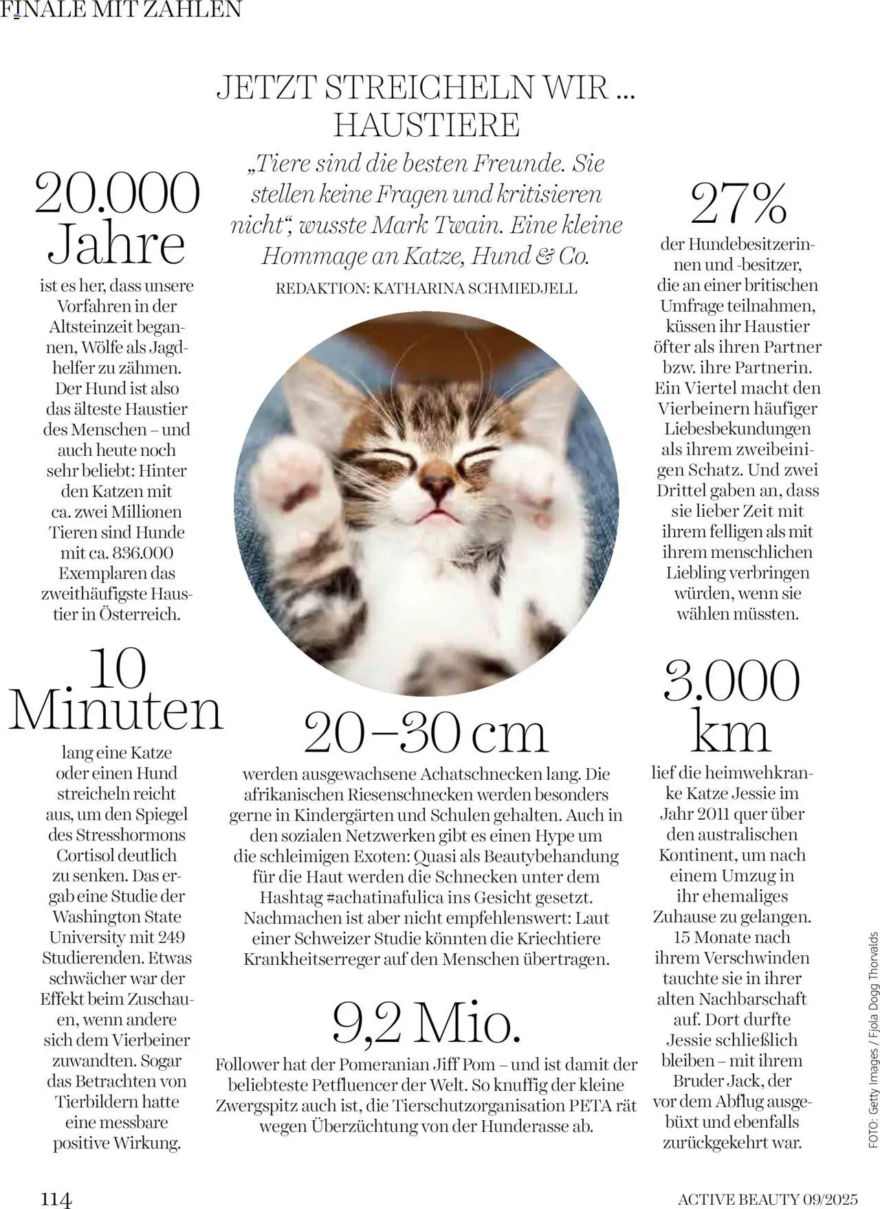 dm drogerie markt Active Beauty Magazin 09/2025 gültig ab 10.09.2025 | Seite: 114 | Produkte: Spiegel