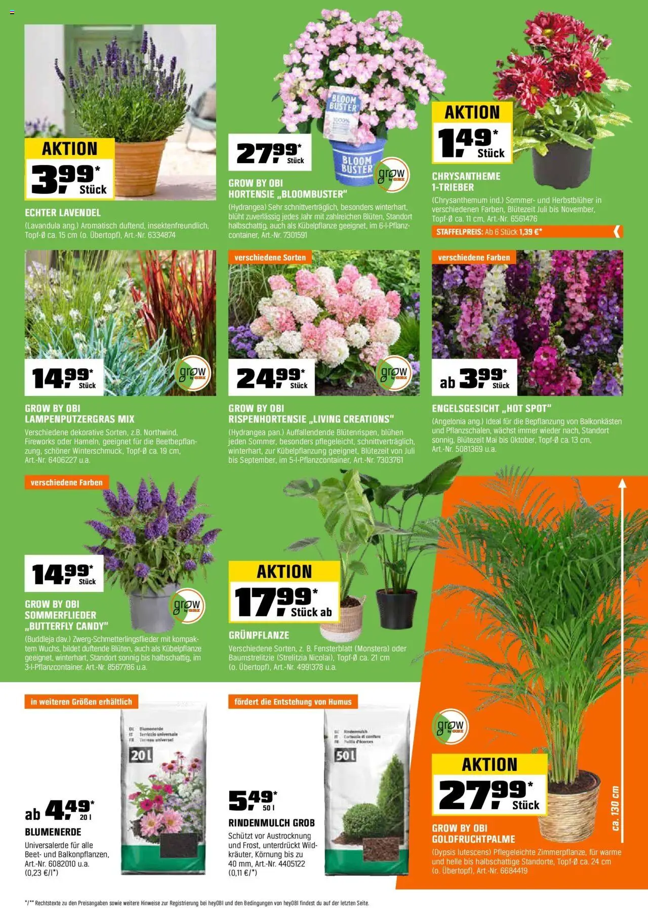 Obi Biberstärke Angebote - gültig ab dem 16.07.2025 | Seite: 11 | Produkte: Rindenmulch, Hortensie, Blumenerde, Lavendel