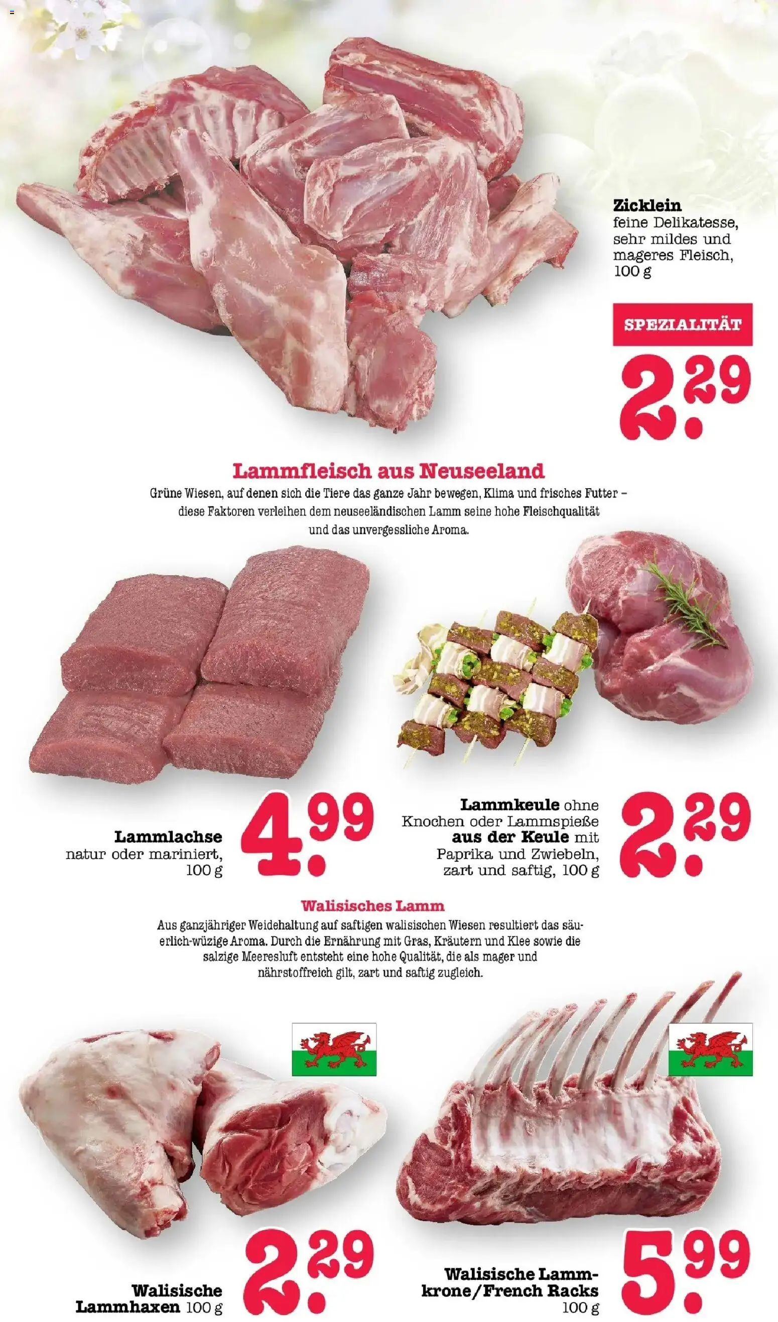 E center Prospekt Heidelberg	 – gültig ab 23.03.2026 | Seite: 5 | Produkte: Lammkeule, Paprika