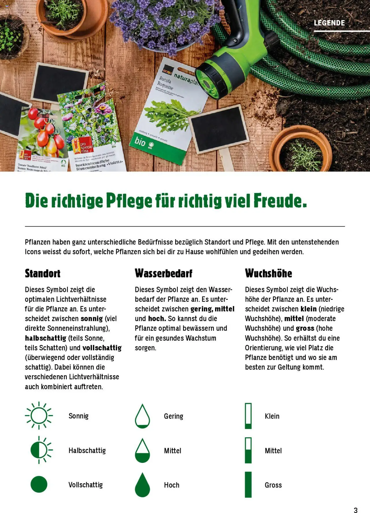 Jumbo Aktionen Dein Garten 2025 ab 21.02.2025 | Seite: 3 | Produkte: Rucola, Wasser