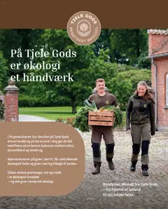 Føtex - Tilbudsavis gyldig fra 19.12.2025 | Side: 37