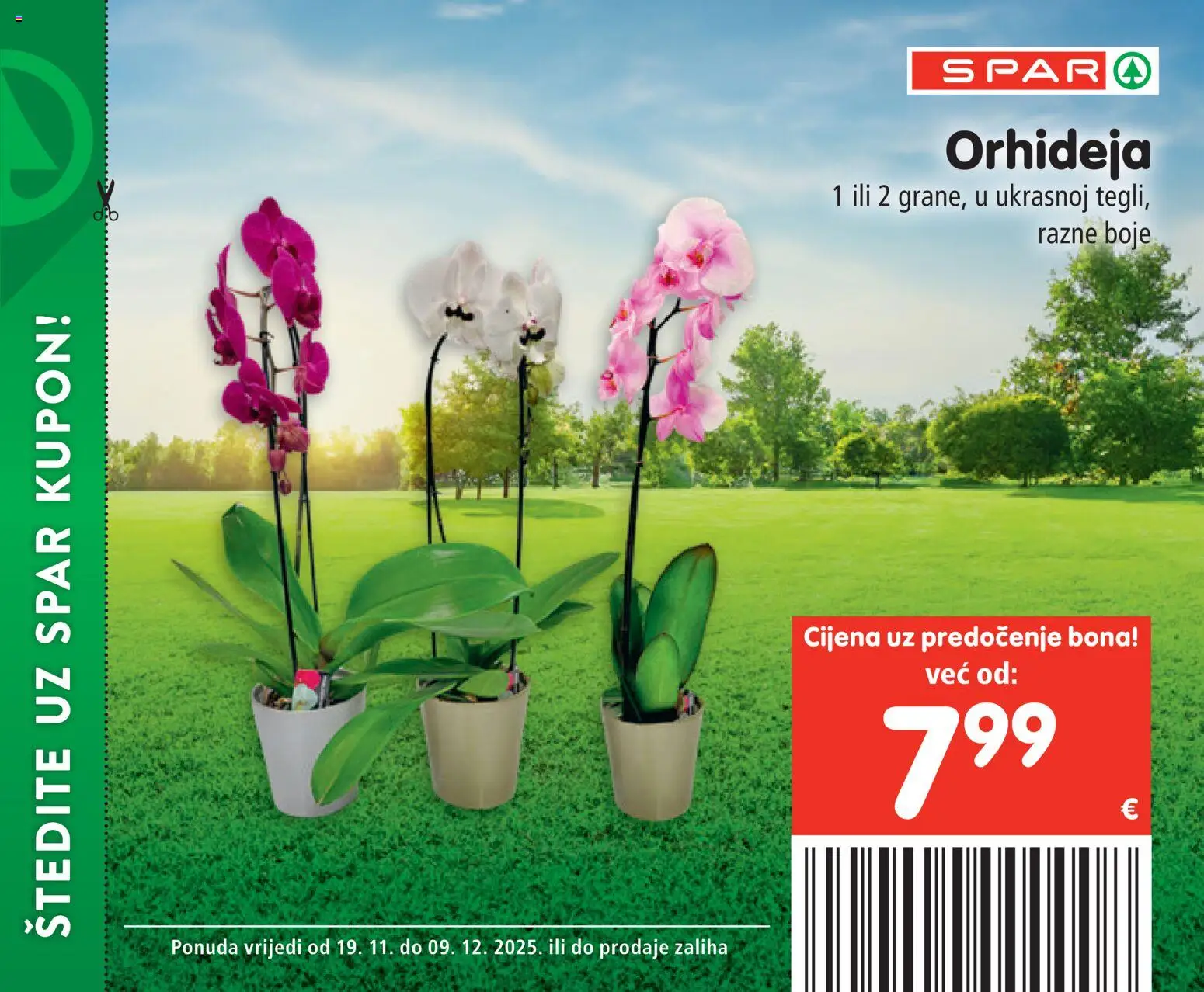 Spar katalog | vrijedi od 19.11.2025 | Stranica: 29 | Proizvodi: Orhideja