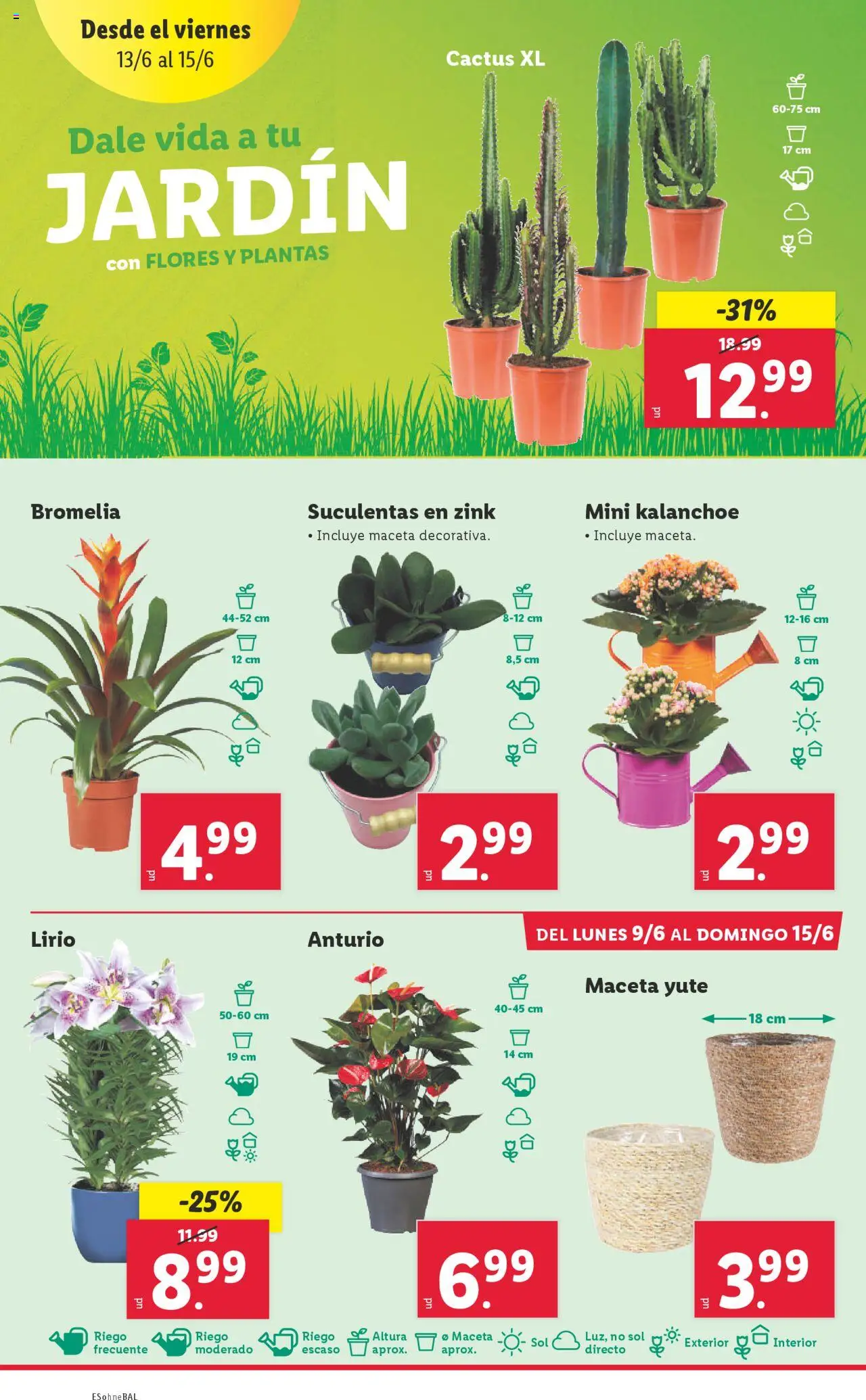 Lidl catálogo MAD │ válido desde el 09.06.2025 | Página: 42 | Productos: Maceta