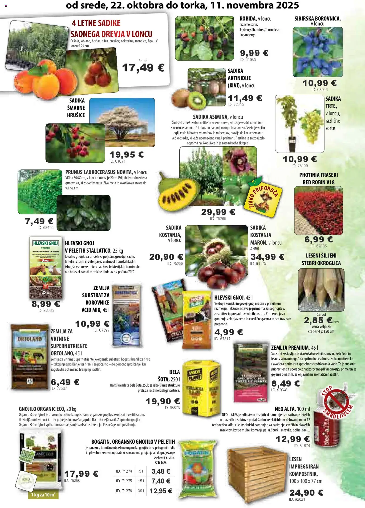 Novi Živex katalog ponudbe – veljaven od 22.10.2025 | Stran: 2 | Izdelki: Žemlja, Borovnice