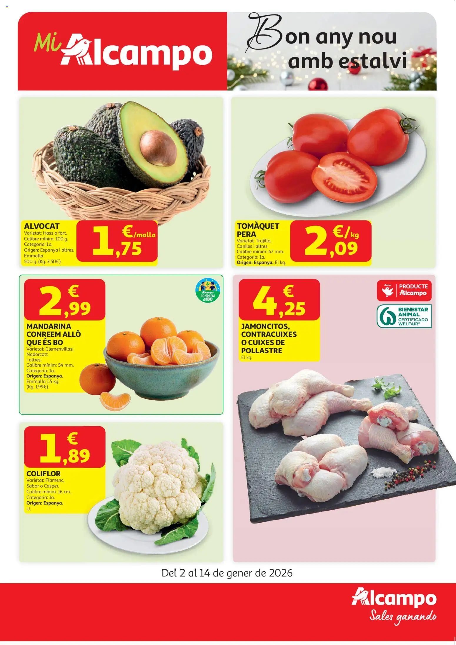 Alcampo - Start Cat │ válido desde el 02.01.2026 | Página: 1