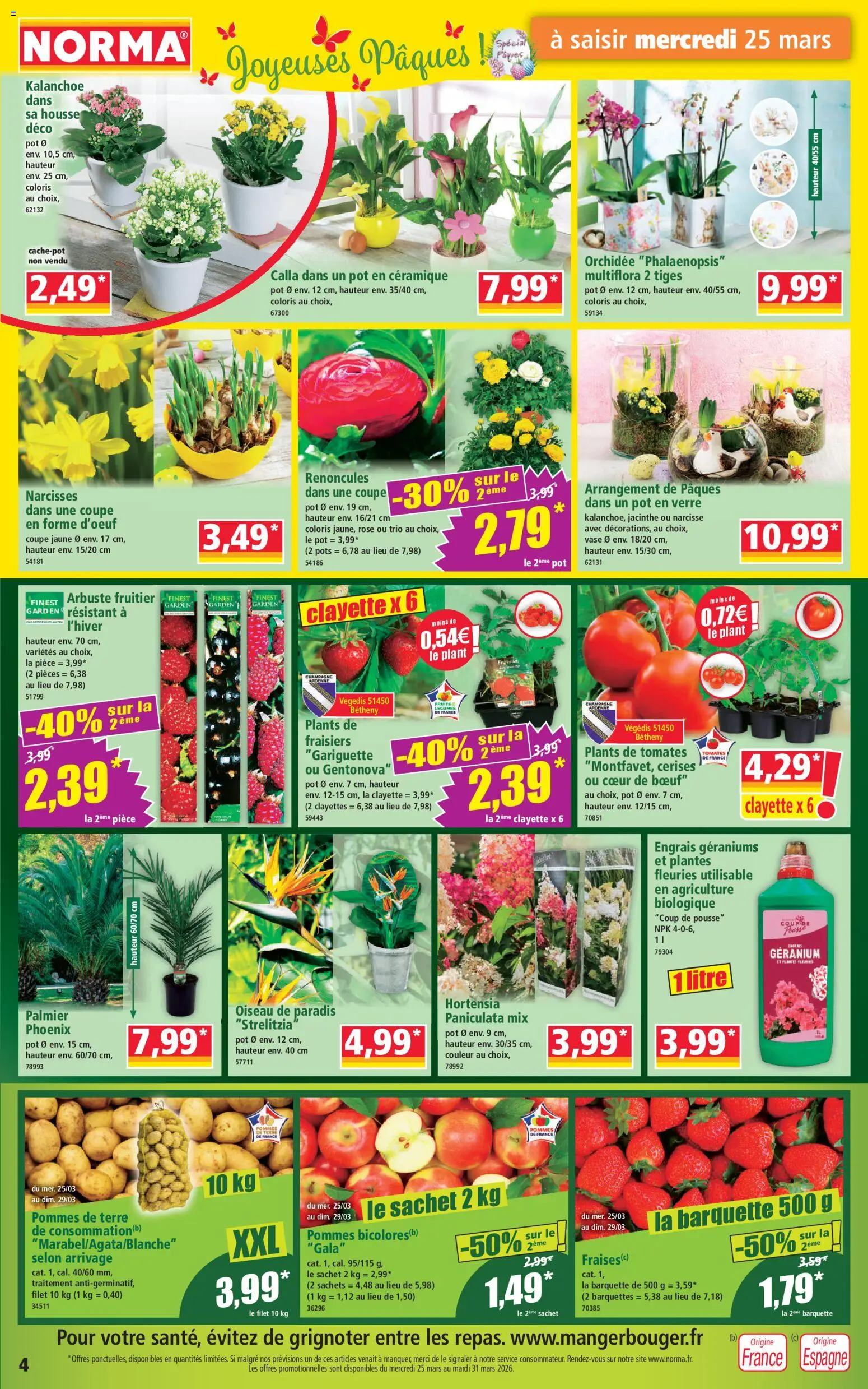 {H1} | Page: 4 | Produits: Cerises, Plants de tomates, Palmier, Pommes de terre