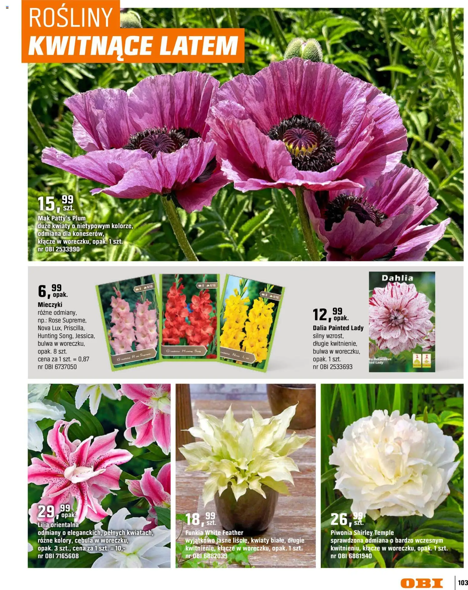 OBI gazetka - Ogród od 11.03.2026 | Strona: 103 | Produkty: Mak, Rosliny, Kwiaty