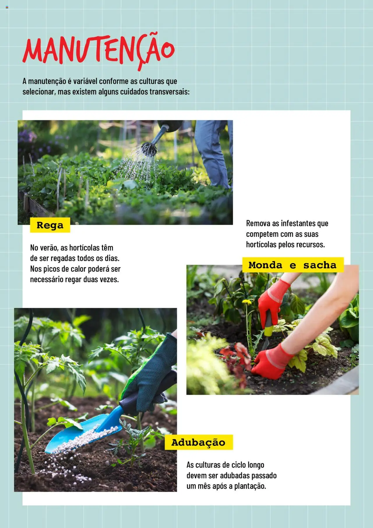 BricoMarché Hortas │ válido de 17.01.2024 | Página: 5