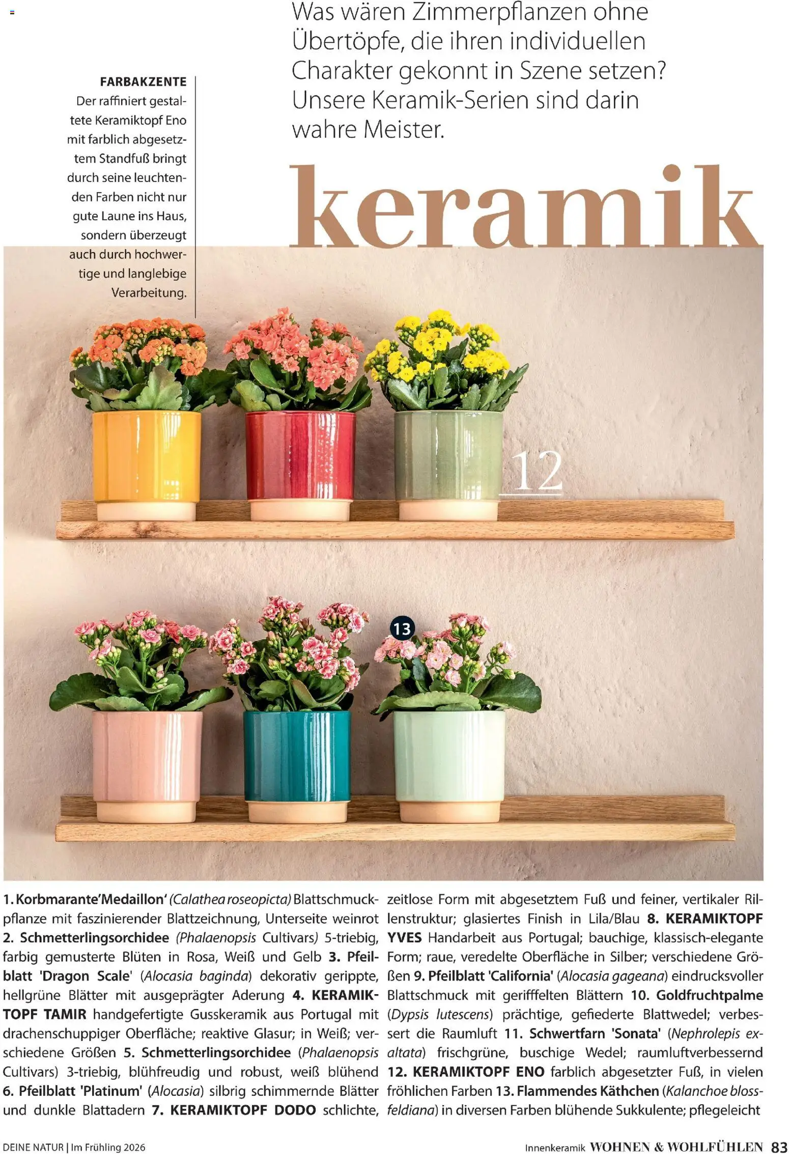 Dehner Flugblatt gültig ab 05.03.2026 | Seite: 83