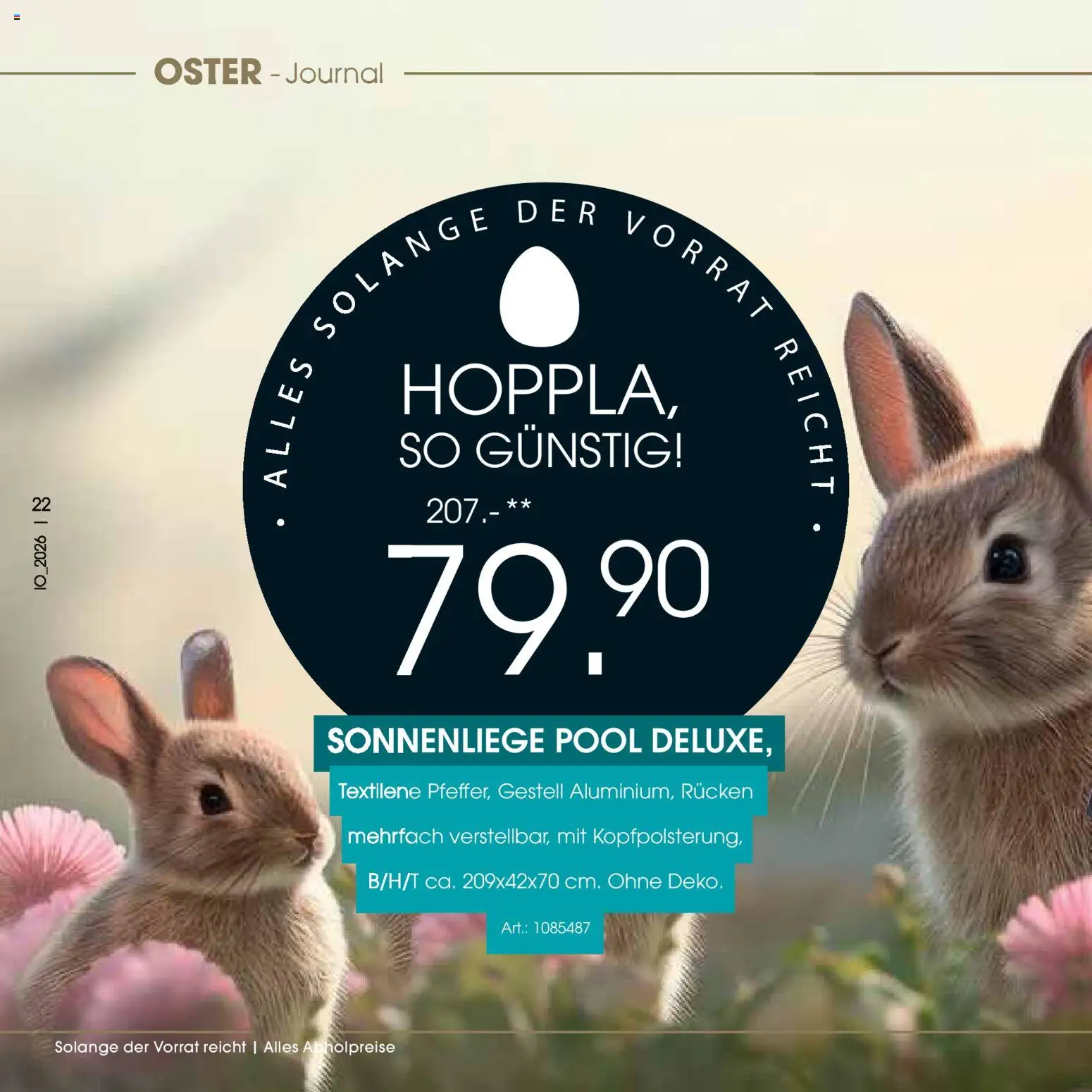 Zurbrüggen Oster-Journal – gültig ab 23.03.2026 | Seite: 22