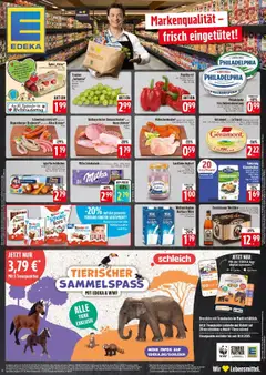 Edeka prospekt Bad Reichenhall	 ab 10.09.2025 gültig