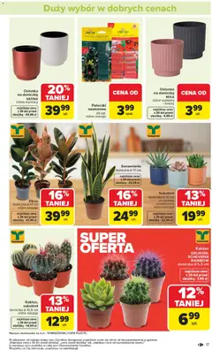 Pogląd oferty "Carrefour Gazetka - Łap super okazje" - ważna od 19.01.2026 | Strona: 17