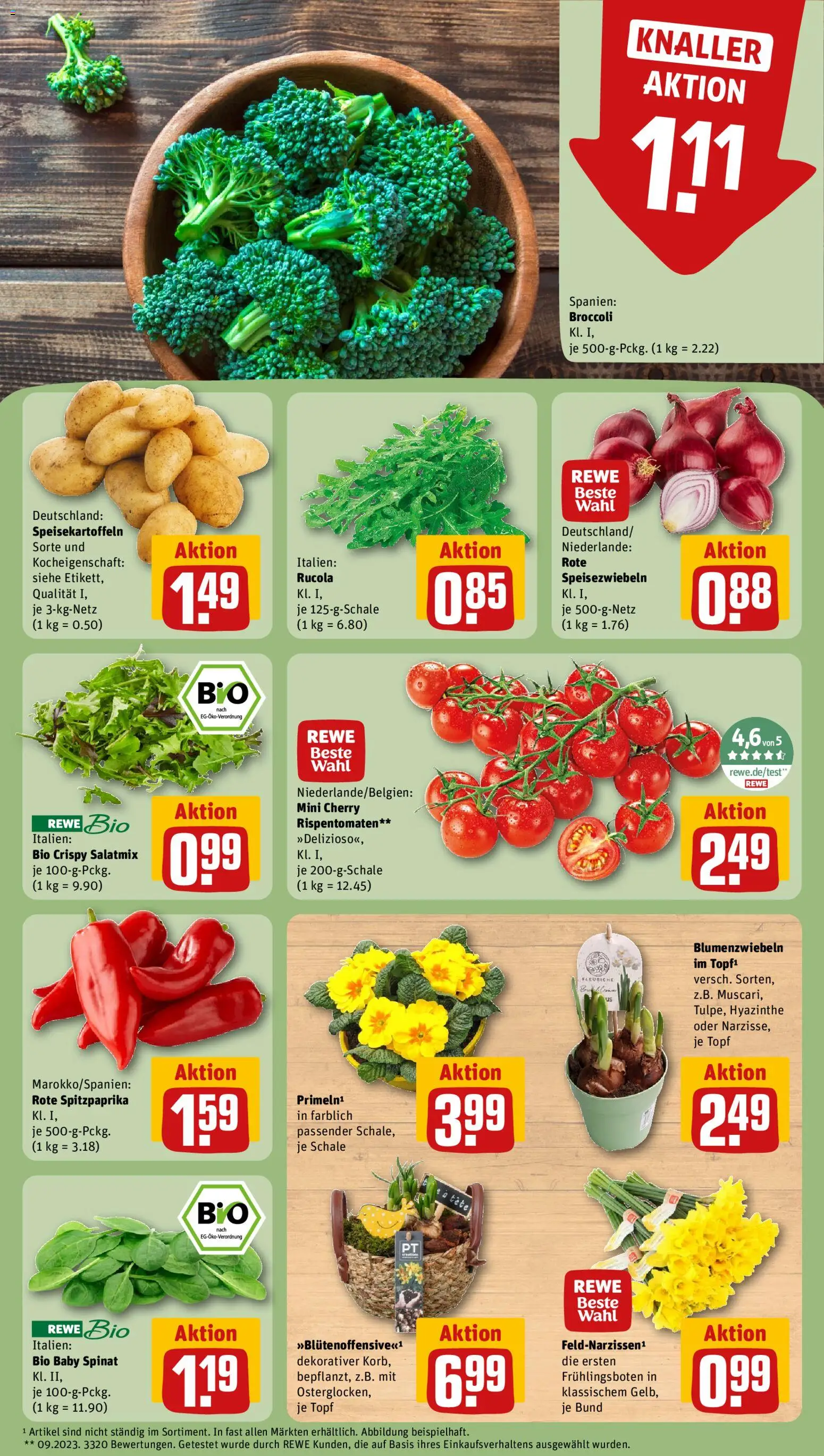 Rewe ihr Kaufpark Prospekt 	 – gültig ab 26.01.2026 | Seite: 5 | Produkte: Rucola