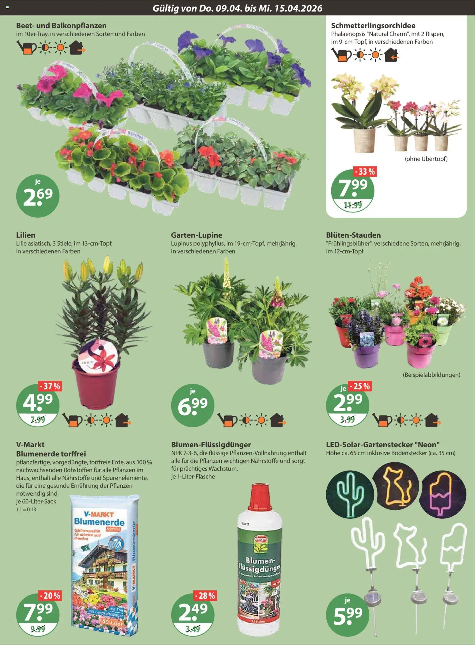 V-Markt Schwaben / Oberbayern – gültig ab 09.04.2026 | Seite: 21 | Produkte: Blumen, Blumenerde