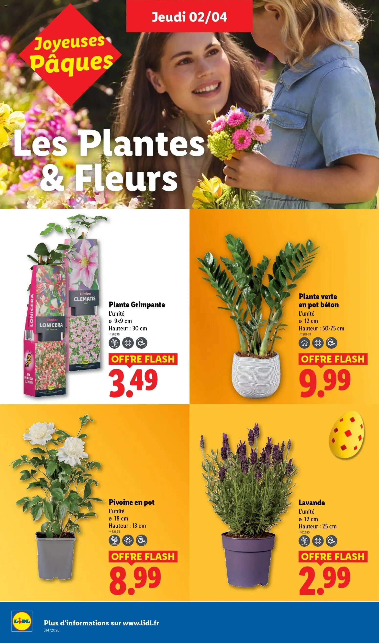{H1} | Page: 26 | Produits: Lavande, Plantes, Pivoine en pot, Plante verte