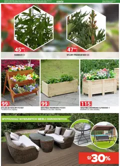 Merkury Market Gazetka od 01.09.2025 | Strona: 41 | Produkty: Rosliny