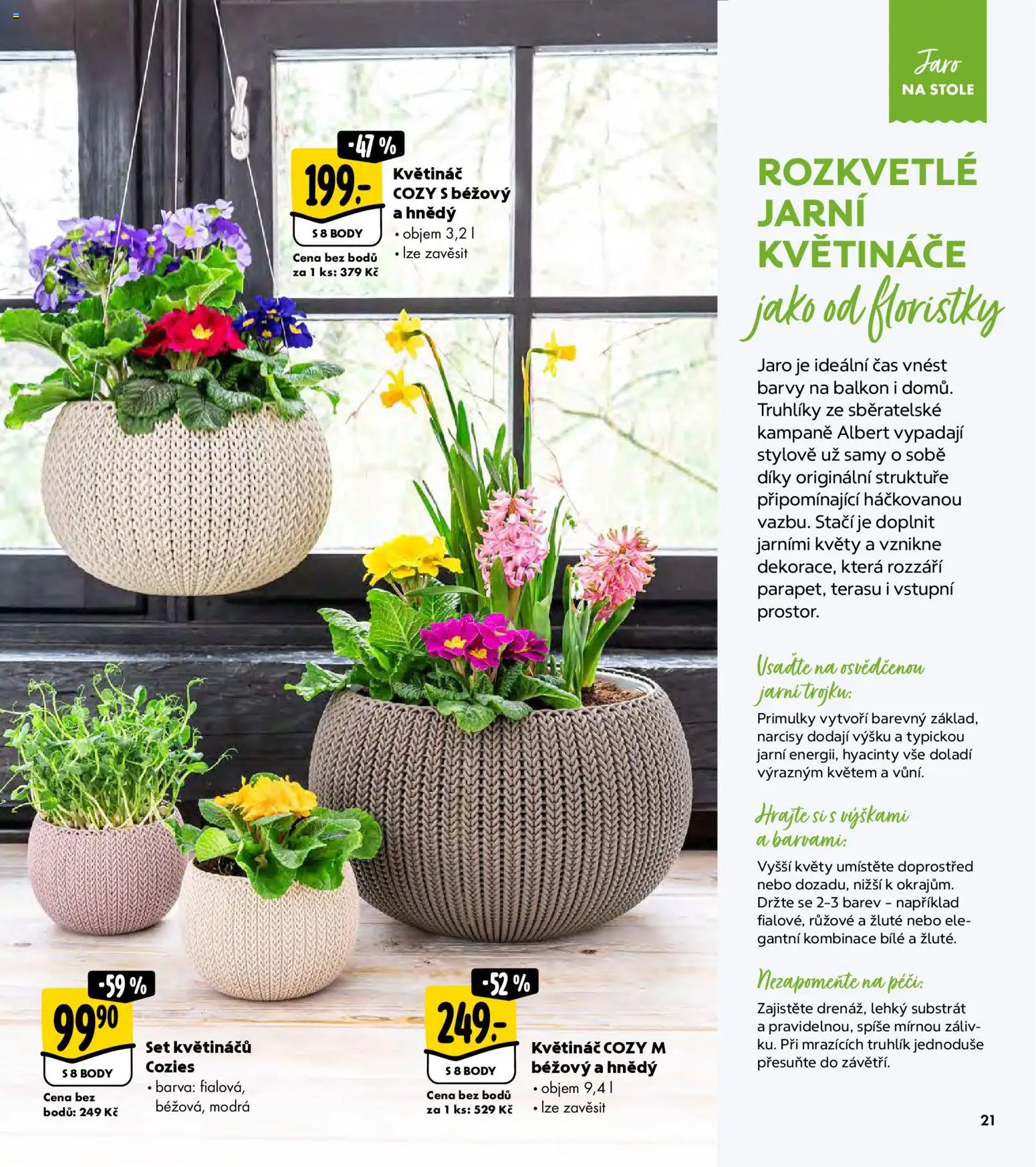 Albert magazín od 01.03.2026 | Strana: 21 | Produkty: Truhlík, Truhlíky, Substrát, Body