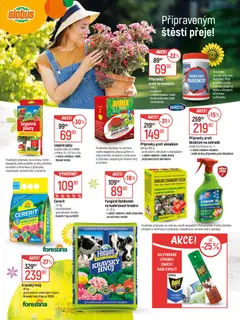 Náhled letáku Globus leták - Jaro od 18.03.2026 | Strana: 4