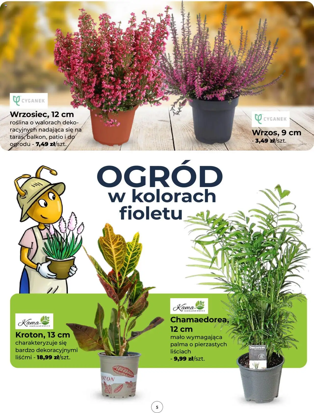 Mrówka Gazetka od 11.09.2025 | Strona: 5