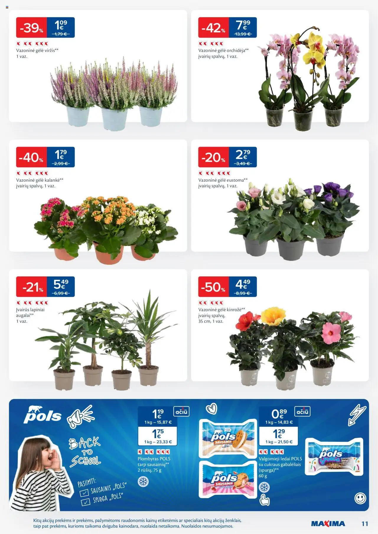 MAXIMA - Leidinys│galioja nuo 02.09.2025 | Puslapis: 11 | Prekių: Ledai, Spurga, Plombyras, Valgomieji ledai