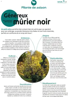 Mr. Bricolage - Prévisualisation de Mr. Bricolage catalogue valide à partir de 22.09.2025 | Page: 79 | Produits: Table, Parasol