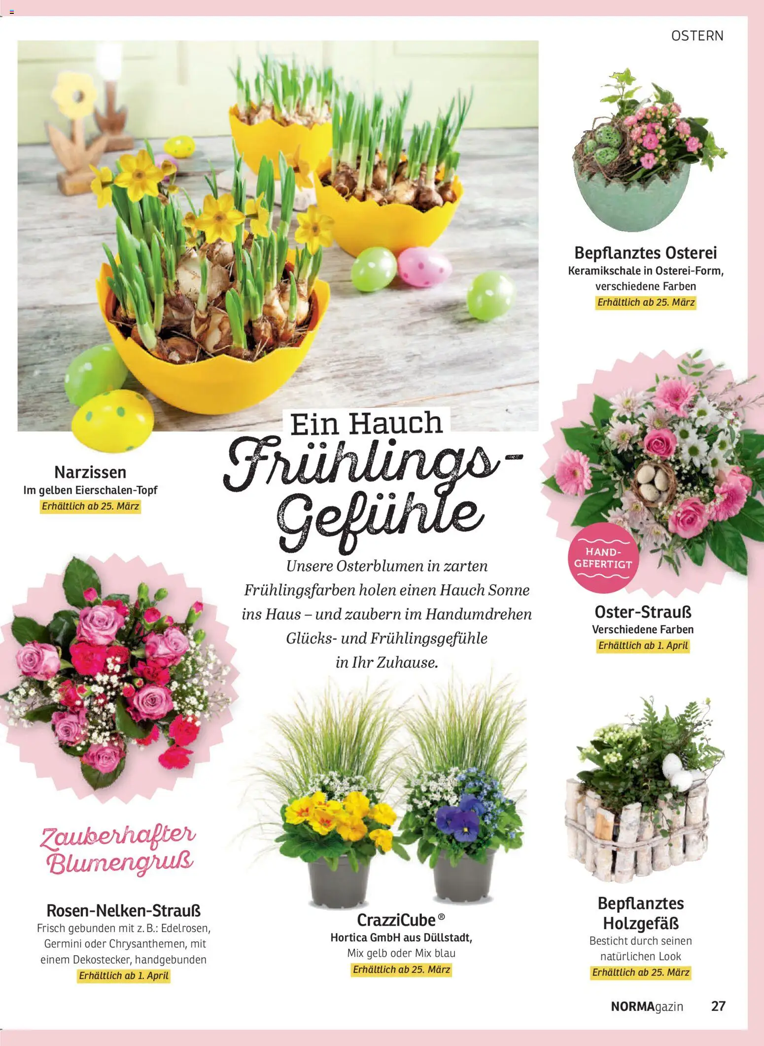Norma NORMAgazin März/April 2026 – gültig ab 01.03.2026 | Seite: 27