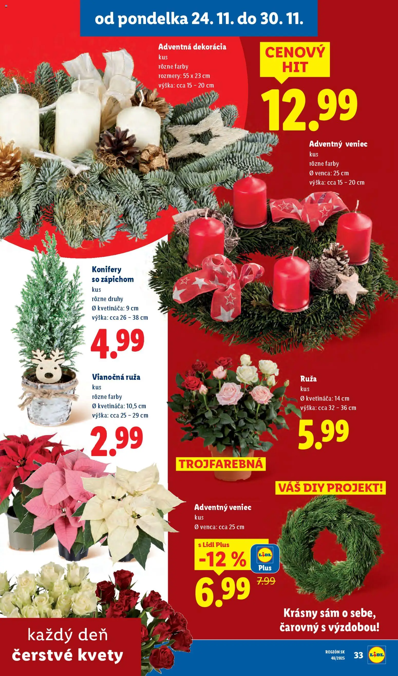 Nové Lidl akcie – leták je platný od 27.11.2025 | Strana: 75 | Produkty: Kvety