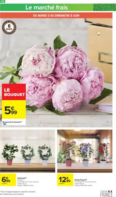 | Page: 34 | Produits: Hortensia