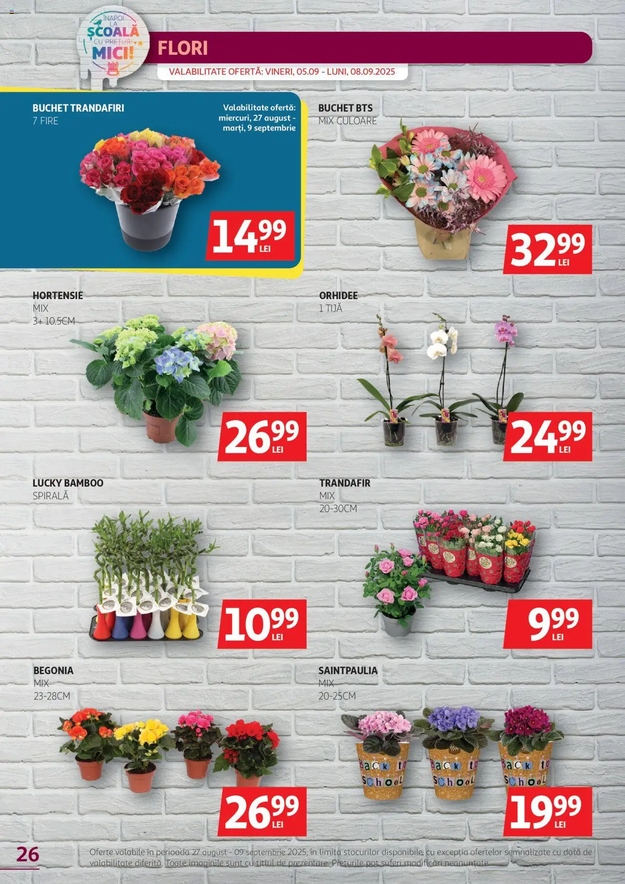 Catalog Auchan – valabil de la 27.08.2025 | Pagină: 26 | Produse: Trandafir, Orhidee, Mici, Yaşlı Köpek Konservesi