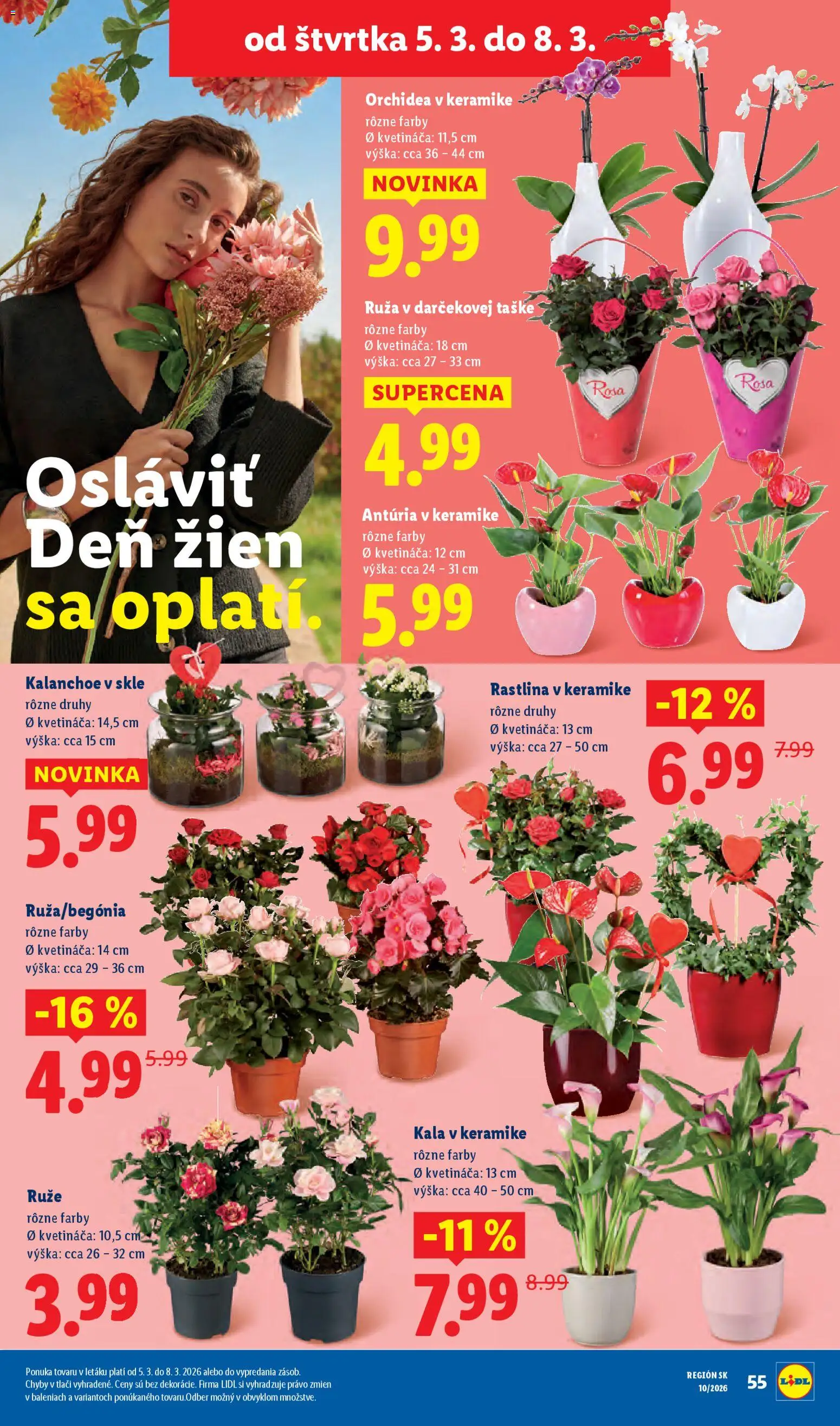Nové Lidl akcie – leták je platný od 05.03.2026 | Strana: 5 | Produkty: Ruže, Orchidea