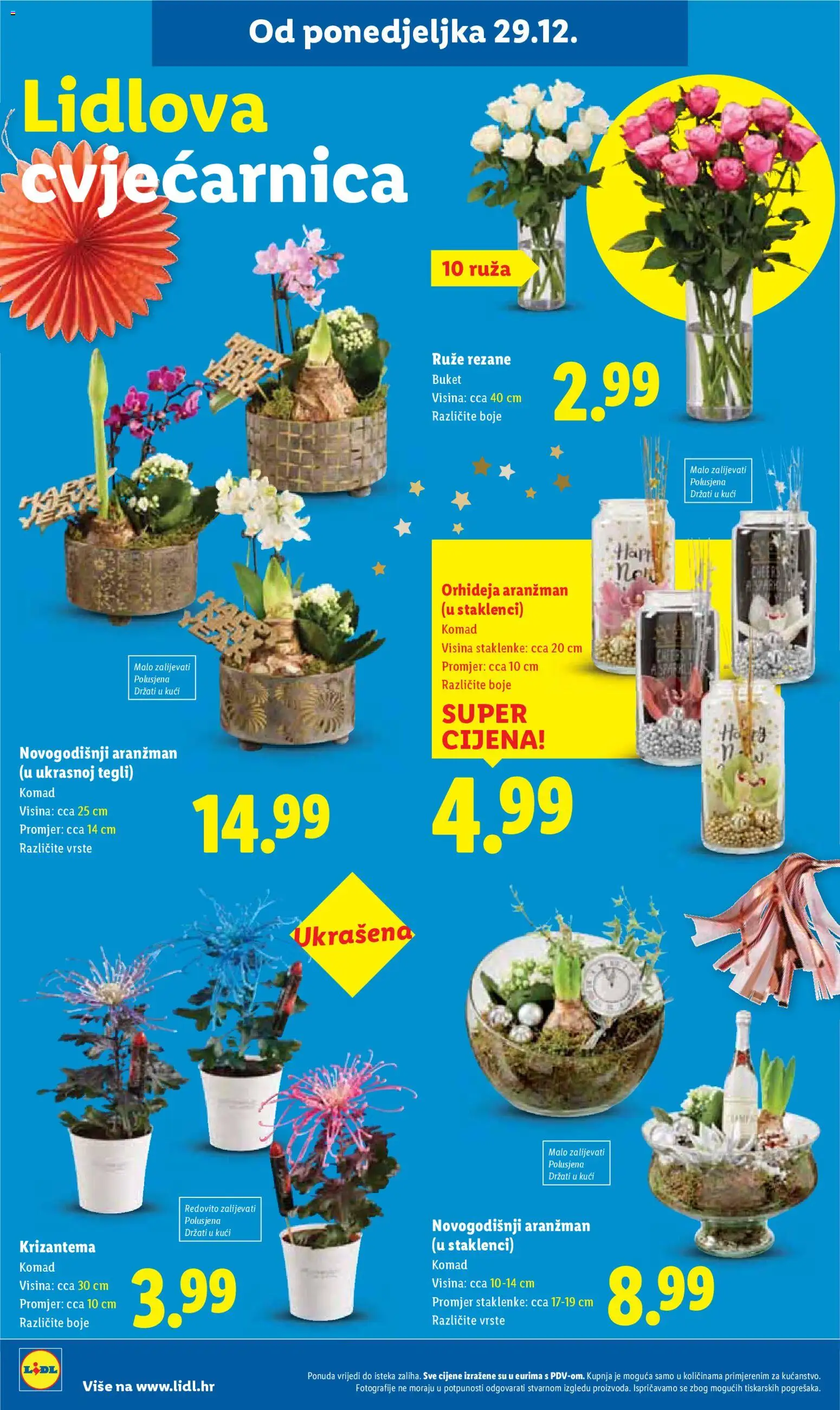 Lidl katalog | vrijedi od 27.12.2025 | Stranica: 36 | Proizvodi: Orhideja, Staklenke