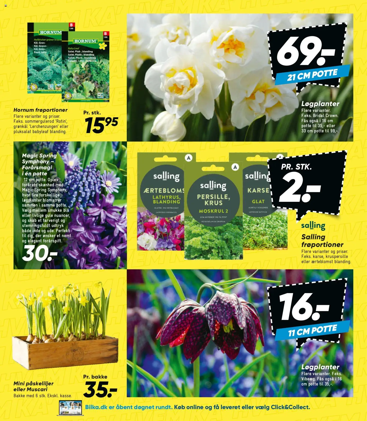 Bilka tilbudsavis – gyldig fra 23.01.2026 | Side: 27 | Produkter: Karse, Skab, Grønkål, Søm