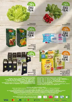 Преглед на Магазинъ 345 брошура - Офертите са валидни от 19.03.2026 | Страница: 8 | Продукти: Салата, Чорапи, Праскова, Напитка