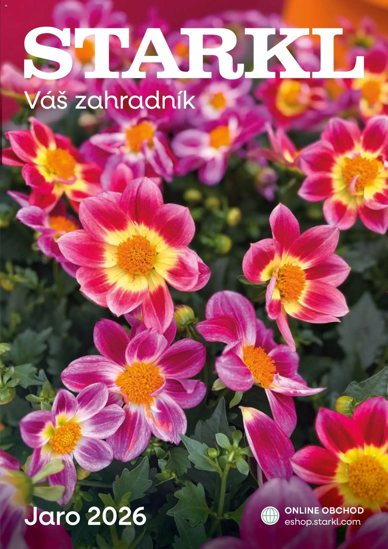 Starkl katalog Jaro 2026 od 25.02.2026 | Strana: 1
