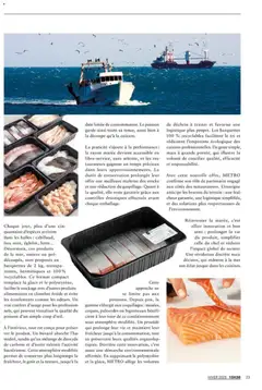 METRO - Prévisualisation de METRO - Magazine 15h30 N° 16 valide à partir de 01.12.2025 | Page: 23 | Produits: Mais, Poisson